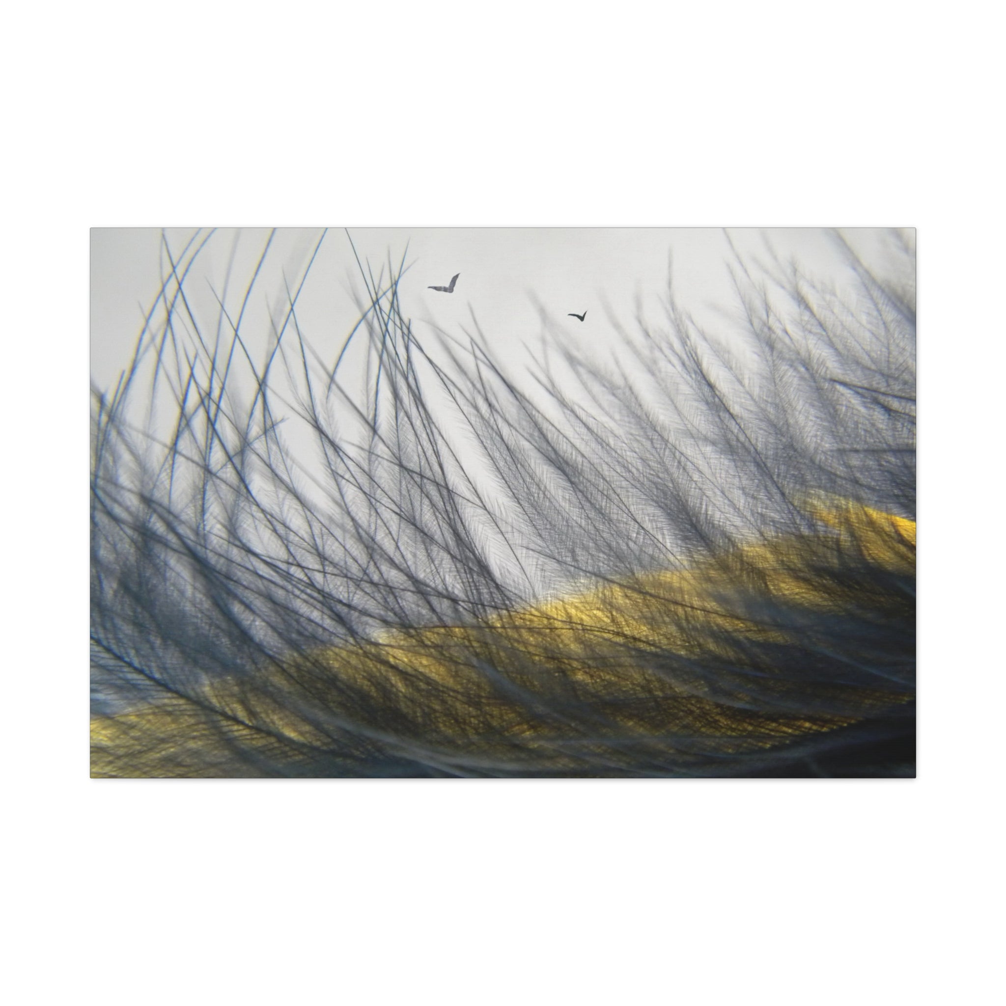 "Dunes"- Wall Art Canvas Print Gray/Yellow