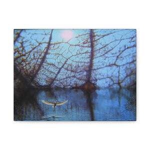 Bird flying over water with tree reflections in the sky