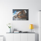 Canvas Print - Blue Bird