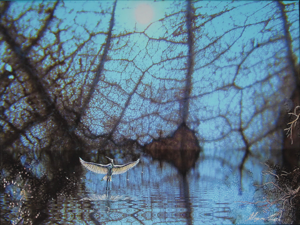 Florida Evergreens | Hand-Finished Microphotography on Canvas