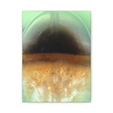 Sphere Canvas Print Art