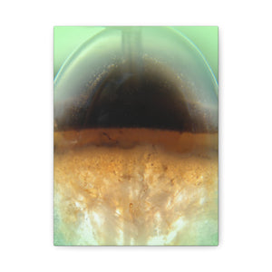 Sphere Canvas Print Art