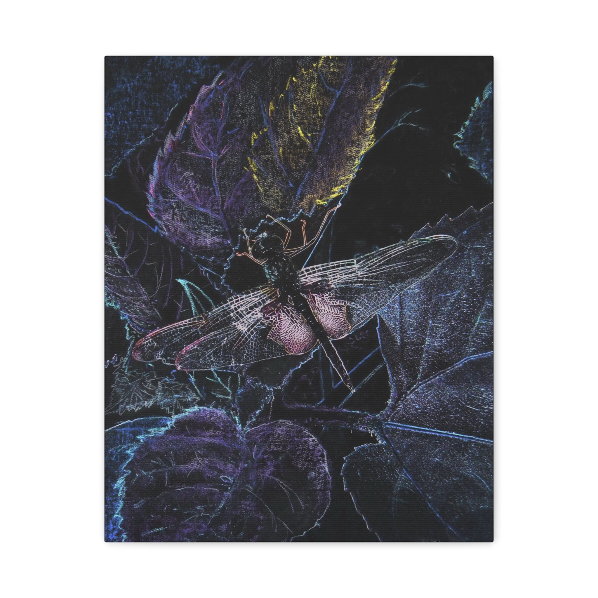 Artistic depiction of a dragonfly and leaves with a dark background