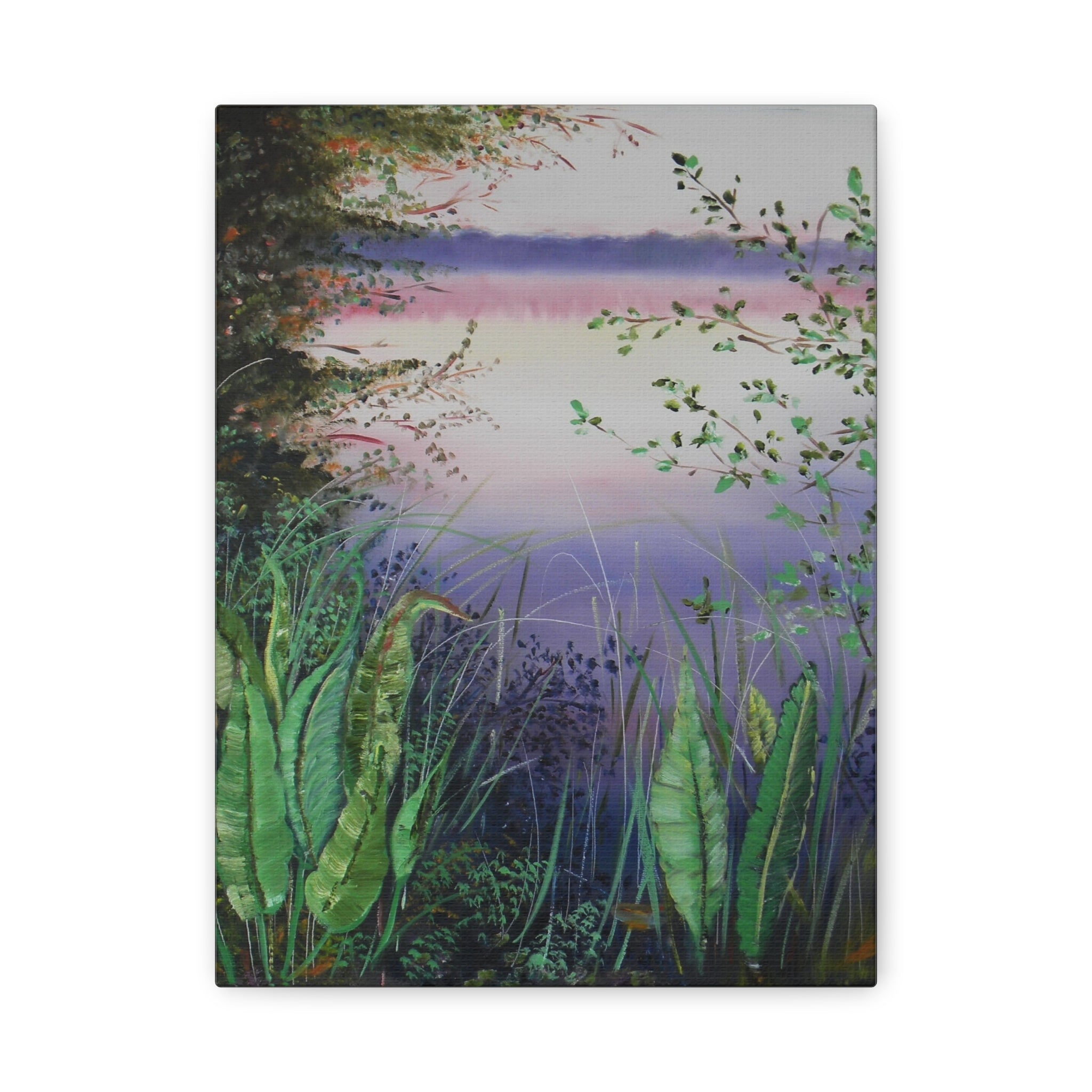  nature scene featuring plants and a sunset.
