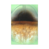 Sphere Canvas Print Art