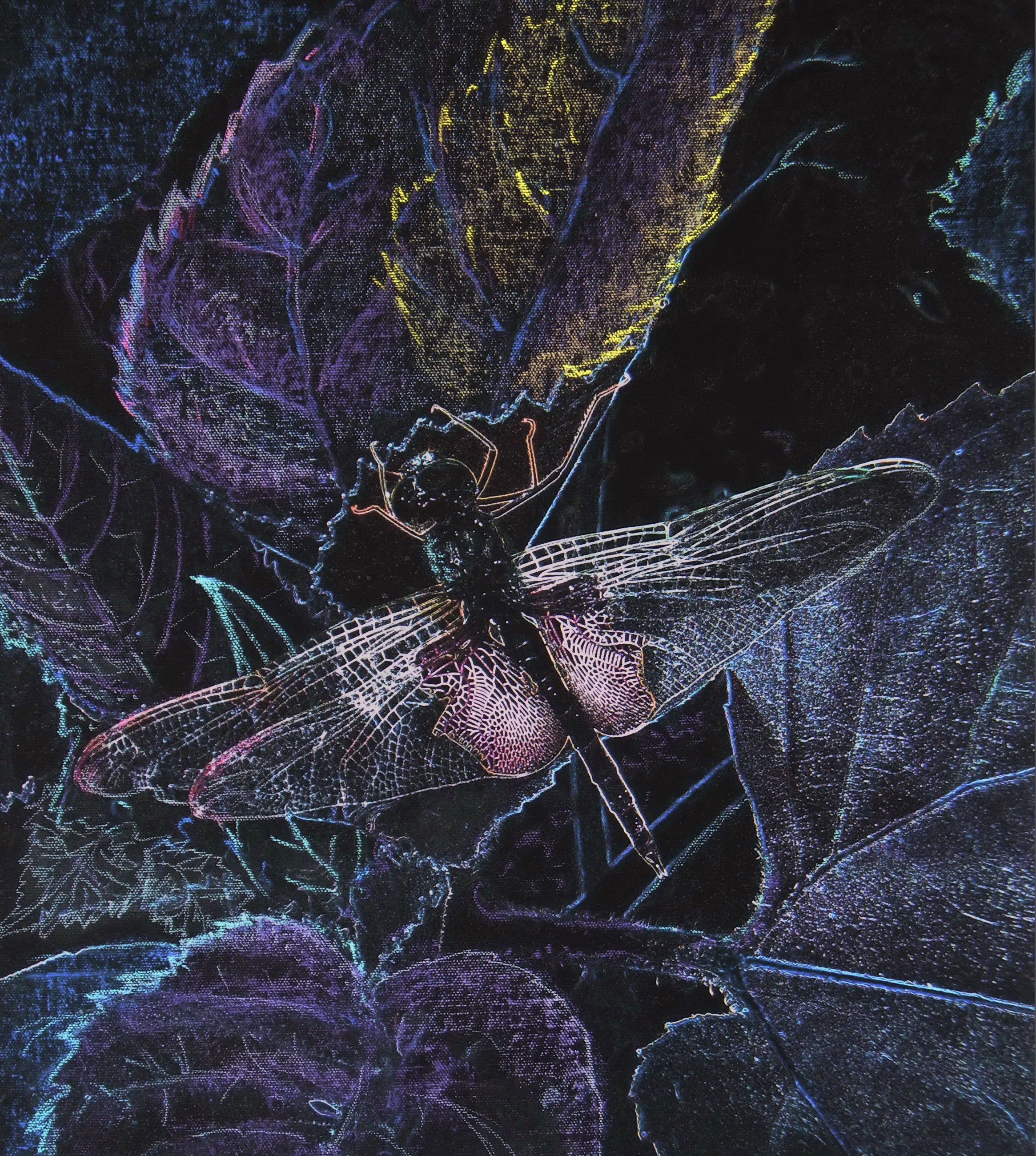 Dragonfly Black Mug 11oz 15oz