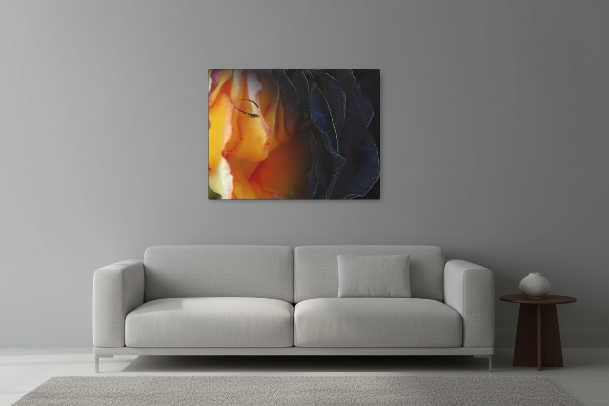 Tea Rose on gray wall