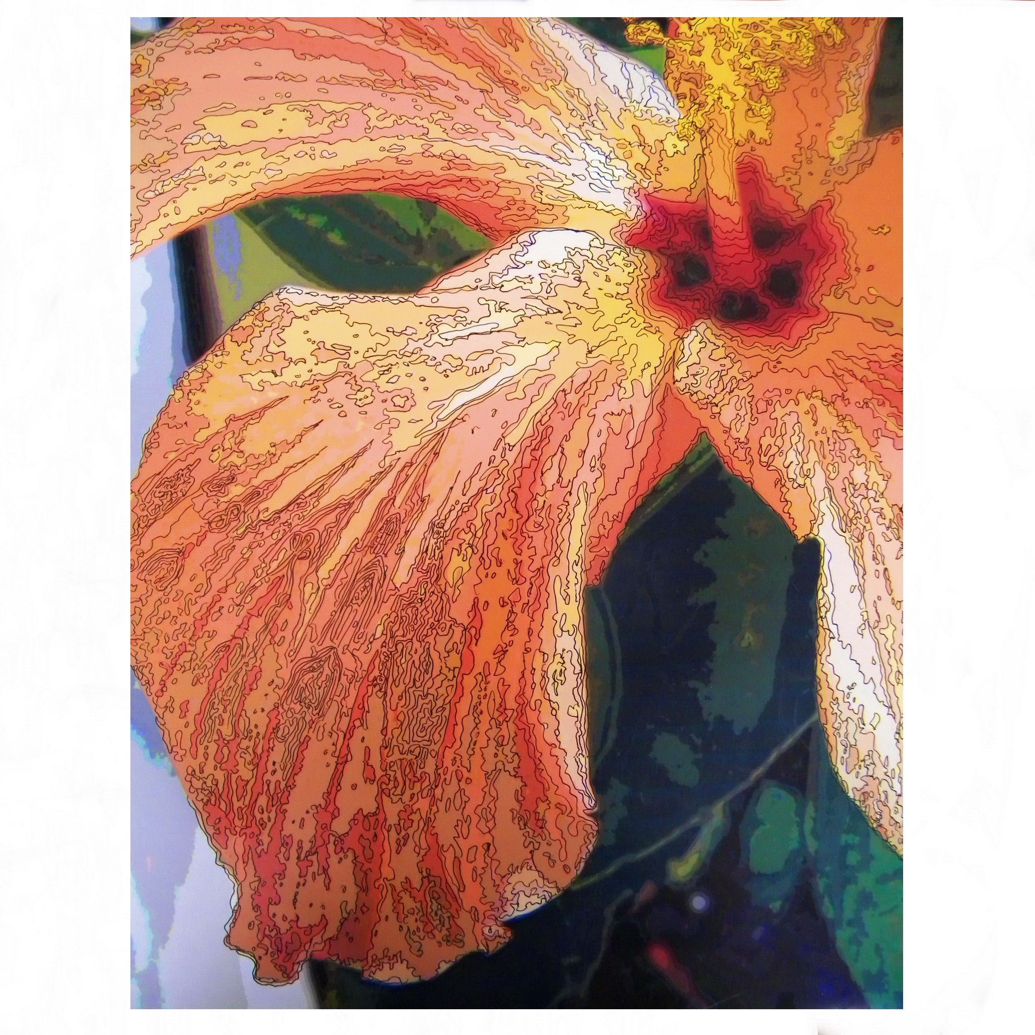 Close-up of a vibrant orange and yellow flower with detailed texture.