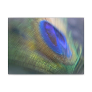 "Peacock feather"- Wall Art Canvas Print Green/Lilac